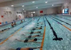 2023杭州体育中考游泳项目开考与国家级运